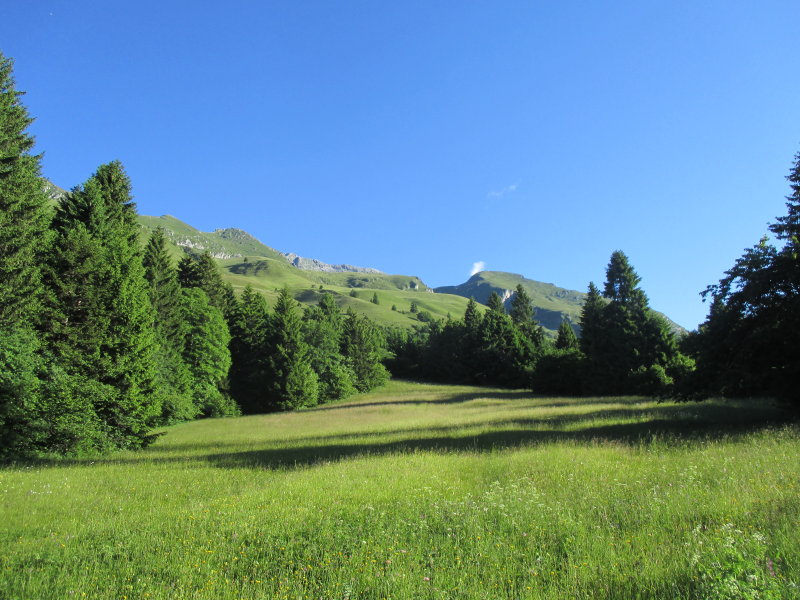 a 067 arrivo a Pian de Froschera, si intravede la meta..._1_1.jpg