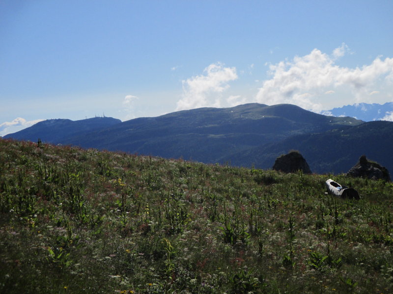a 099 Paganella-Monte Gazza. All'abbeveratoio di cui parla la relazione..._1_1.jpg