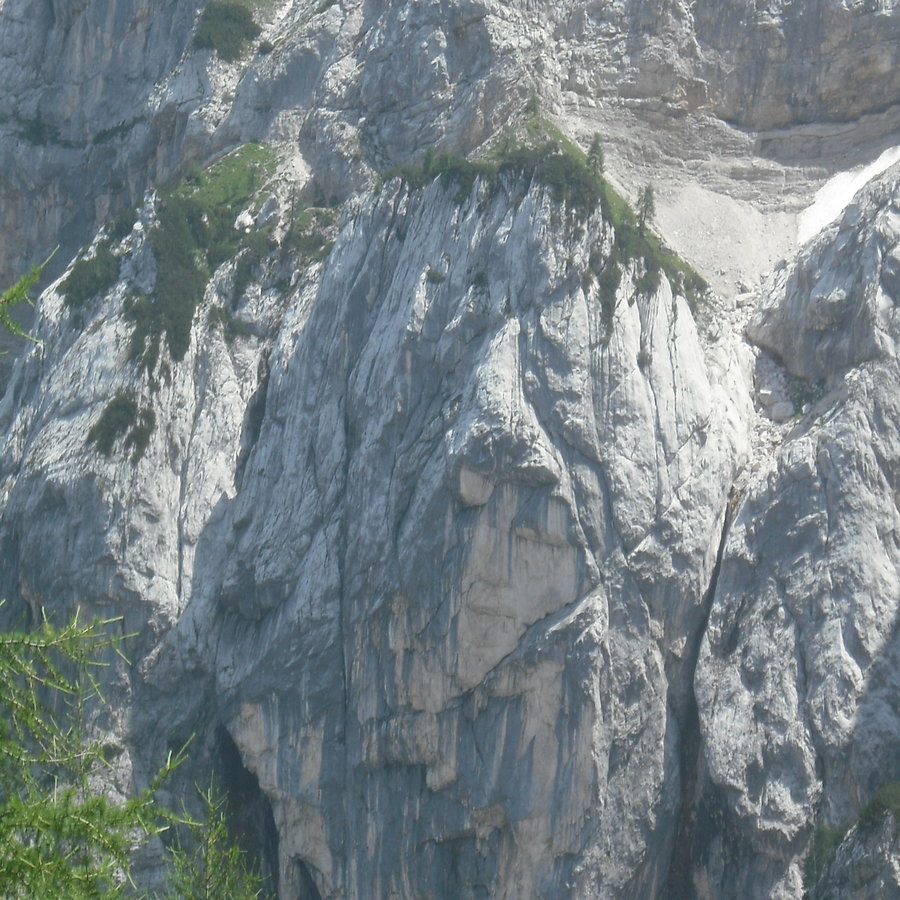 rsz_dscf0144.jpg