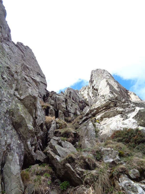 9.Il.camino.jpg