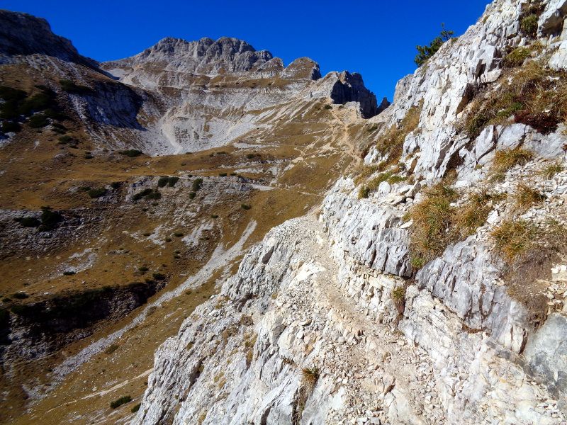 8.Cengetta.JPG