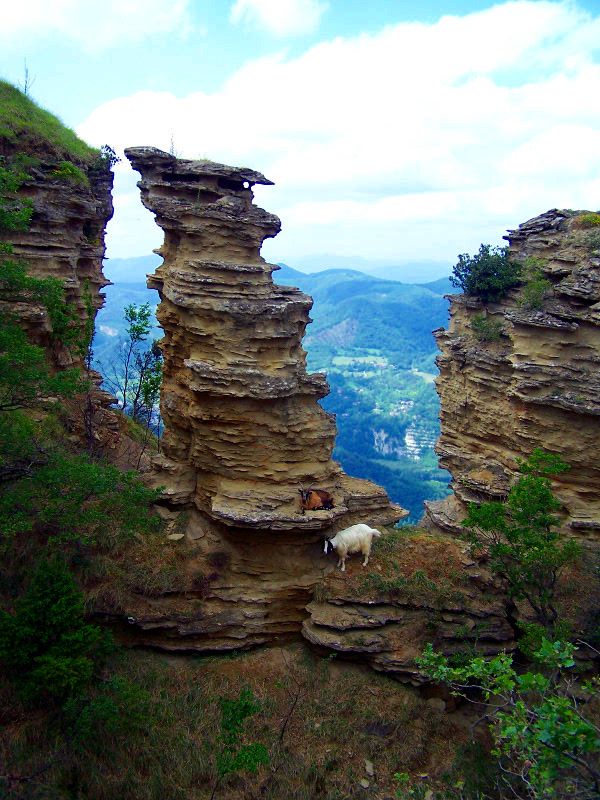 Le.torri.di.Monte.Adone.JPG