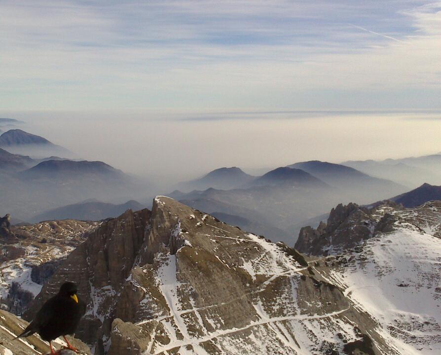 Gracco e nebbia.jpg